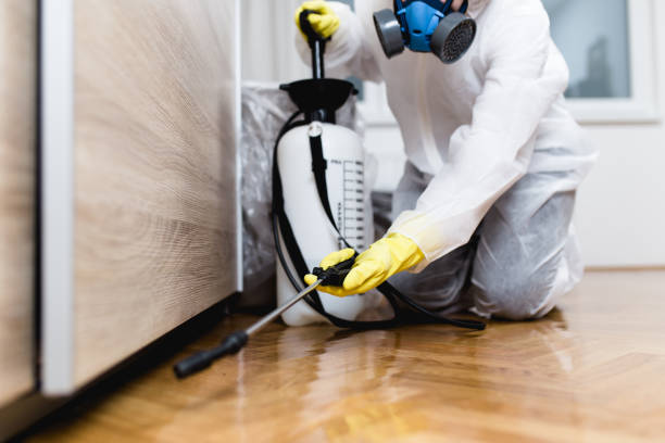 Best Pest Control Near Me  in Becker, MN