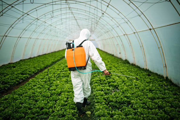 Best Affordable Pest Control Services  in Becker, MN