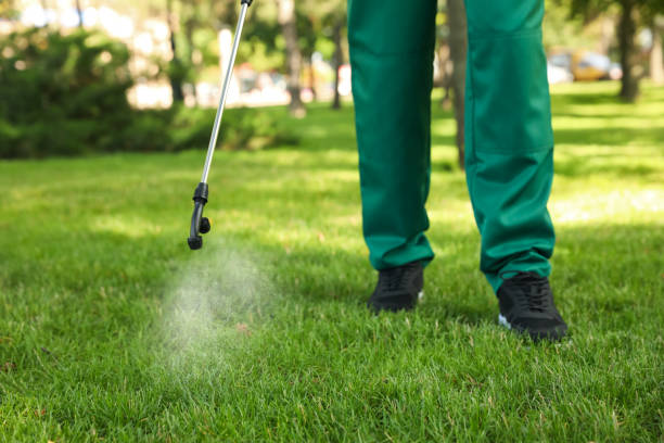 Best Emergency Pest Control  in Becker, MN