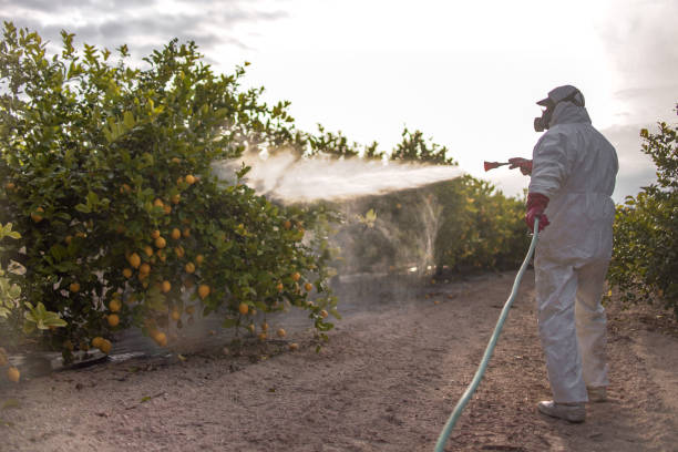 Trusted Becker, MN Pest Control Experts