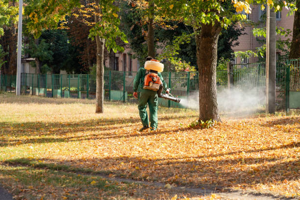 Best Cockroach Control Services  in Becker, MN