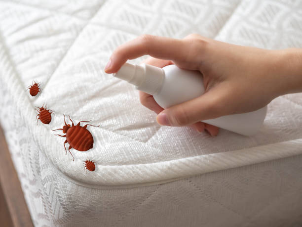 Best Best Pest Control Companies  in Becker, MN
