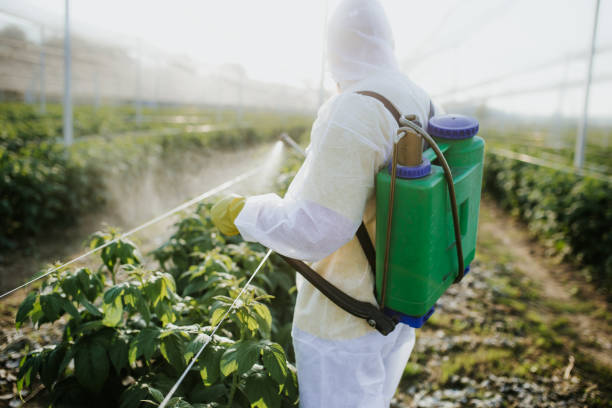 Best Pest Control Treatment  in Becker, MN